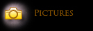 pictures